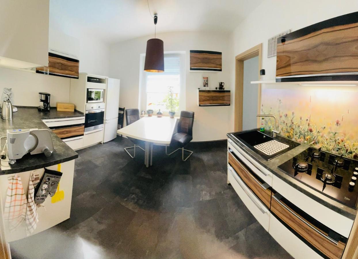 Ferienwohnung Ziegenschweiz Auerbach  外观 照片