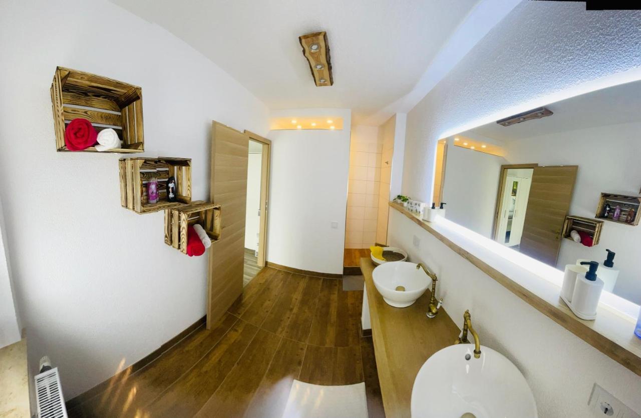 Ferienwohnung Ziegenschweiz Auerbach  外观 照片